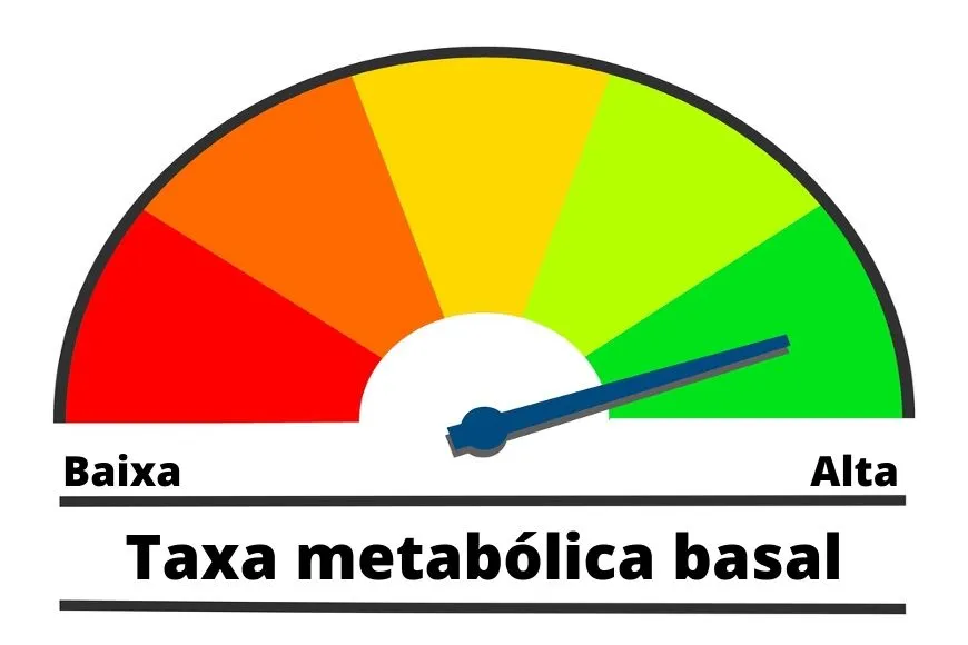 Calorimetria-Indireta-em-BH
